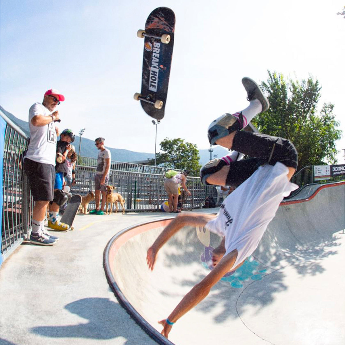 SKATEBOARDS